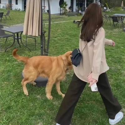 如果墙会说话2